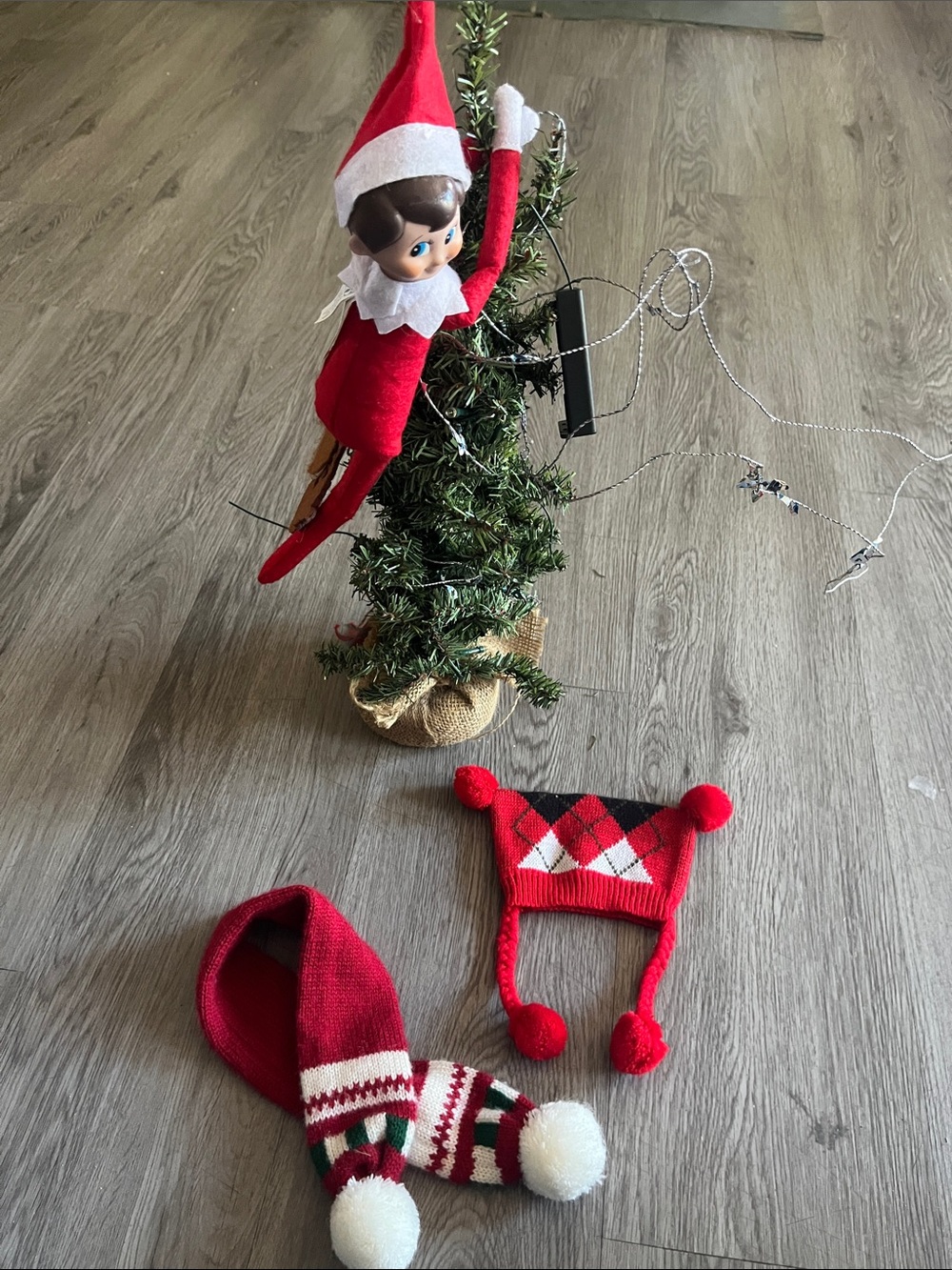 Festive Red Argyle Dog Hat and Scarf Set - Holiday Knit Pet Accessories